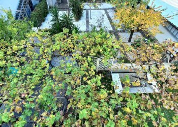 Foto 4 - Casa semi indipendente Via Corsica - 4° fila - 150 mt. dal mare, Tortoreto - foto 4