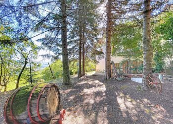 Foto 38 - Casa indipendente Isola del Piano - foto 38