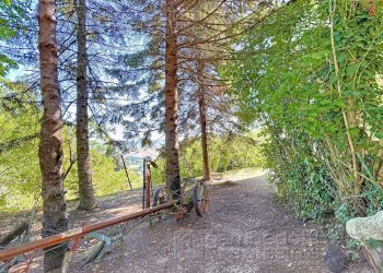 Foto 64 - Casa indipendente Isola del Piano - foto 64