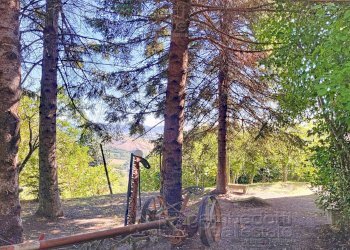 Foto 65 - Casa indipendente Isola del Piano - foto 65