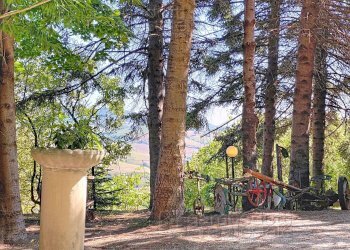 Foto 66 - Casa indipendente Isola del Piano - foto 66