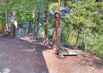 Foto 67 - Casa indipendente Isola del Piano - foto 67