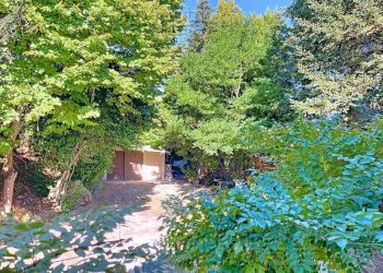 Foto 74 - Casa indipendente Isola del Piano - foto 74