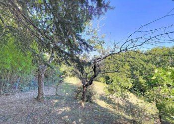 Foto 76 - Casa indipendente Isola del Piano - foto 76