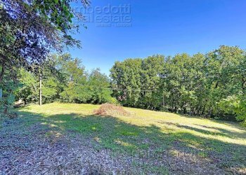 Foto 77 - Casa indipendente Isola del Piano - foto 77