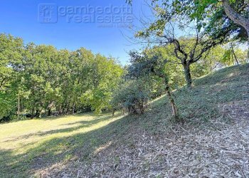 Foto 78 - Casa indipendente Isola del Piano - foto 78