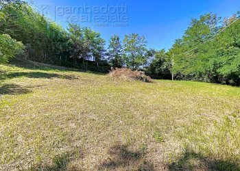 Foto 79 - Casa indipendente Isola del Piano - foto 79