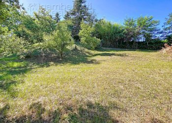 Foto 80 - Casa indipendente Isola del Piano - foto 80