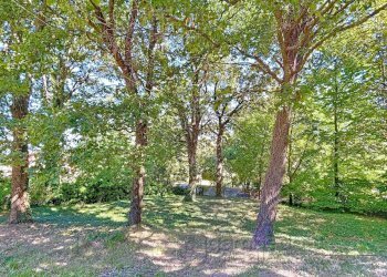 Foto 81 - Casa indipendente Isola del Piano - foto 81