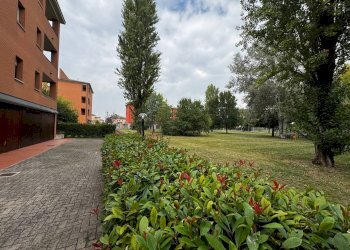 Foto 20 - Appartamento Mirandola - foto 20