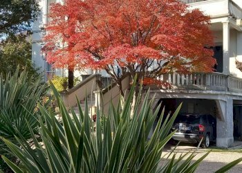 Foto 5 - Villa via roma, Arcisate - photo 5