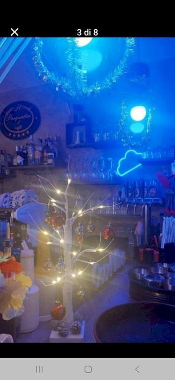 Interno non residenziale - Cafeteria - Cold Bar San Bartolomeo al Mare - photo 2