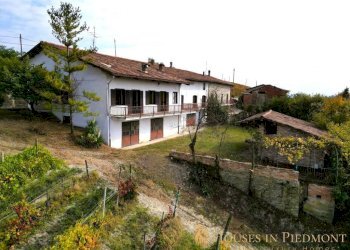 Terreno - Rustico Clavesana - foto 5