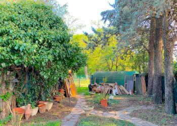 Giardino - Villa via Bruno Tosarelli, Castenaso - foto 3