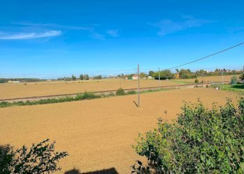 Terreno - Villa via Bruno Tosarelli, Castenaso - foto 6