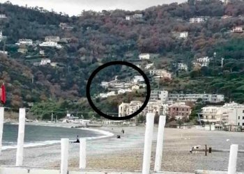 Zona - Villa Regione Torbora, Noli - foto 16