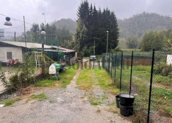 WhatsApp Image 2025-10-30 at 16.13.09.jpeg - Trilocale San Colombano Certenoli - foto 12