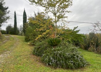 WhatsApp Image 2025-10-24 at 13.51.11 (1).jpeg - Villa Via Poggio di Pozzolatico, Impruneta - foto 30