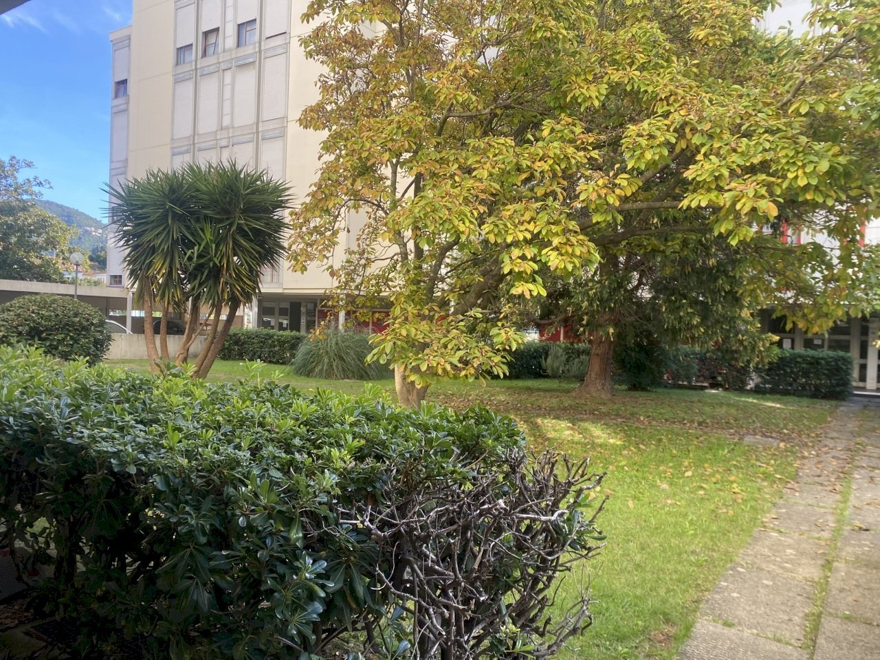 IMG_1917.JPEG - Apartment Via Negrotto cambiaso, Sestri Levante - photo 1