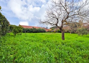 DSC_6909.jpg - Terreno edificabile via giovanni gutemberg 115, Roma - foto 2