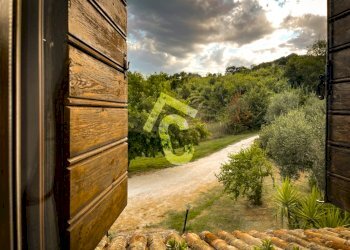 1226C69E-D21F-4859-A0A5-0679C101CE94.jpeg - Casale Monte Roberto - photo 22