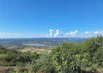 20250930_112712.jpg - Casale Vocabolo Pupiglian 1, Guardea - foto 3