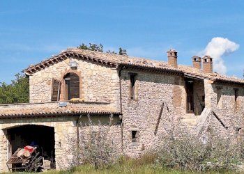 20250930_121410.jpg - Casale Vocabolo Pupiglian 1, Guardea - foto 7