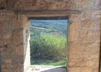 20250930_115919.jpg - Casale Vocabolo Pupiglian 1, Guardea - foto 15