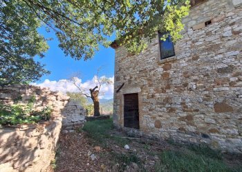 20250930_120724.jpg - Casale Vocabolo Pupiglian 1, Guardea - foto 16