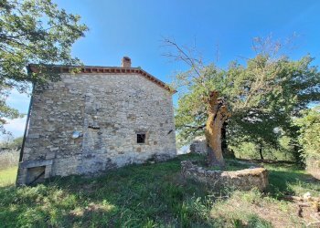 20250930_120845.jpg - Casale Vocabolo Pupiglian 1, Guardea - foto 18