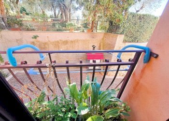 24.jpeg - Quadrilocale Strada Statale 205, Alviano - foto 23