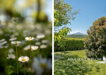Villa Unifamiliare strada per chianciano, 12, Chianciano Terme - foto 41