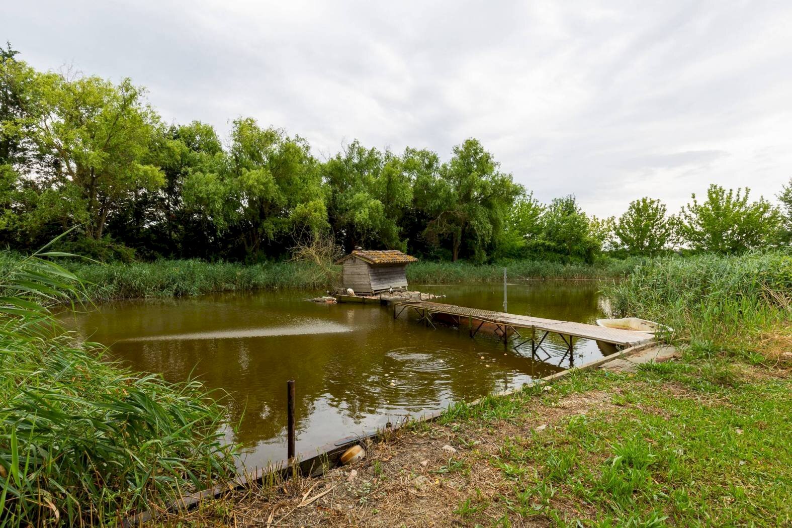 Semi-detached Villa Via Boschi, 36, Malalbergo - photo 1