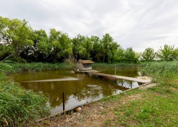 Villa Bifamiliare Via Boschi, 36, Malalbergo - foto 1
