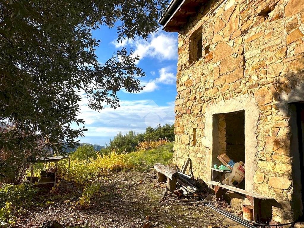 Rustico Strada Vigne Nuove, Vallebona - foto 3