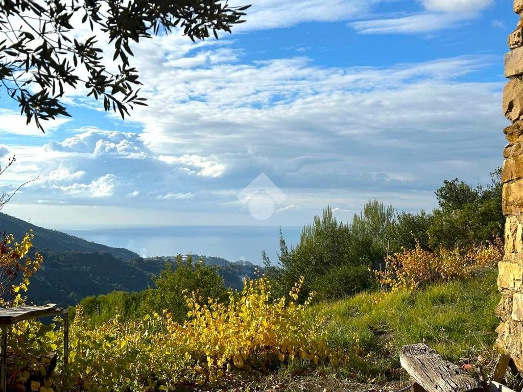 Rustico Strada Vigne Nuove, Vallebona - foto 1