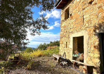 Rustico Strada Vigne Nuove, Vallebona - foto 3