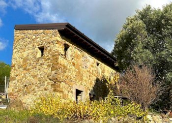 Rustico Strada Vigne Nuove, Vallebona - foto 4