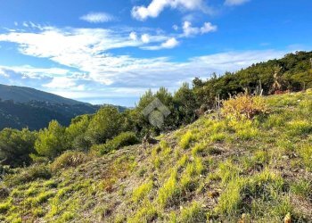 Rustico Strada Vigne Nuove, Vallebona - foto 14