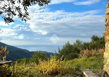 Rustico Strada Vigne Nuove, Vallebona - foto 1