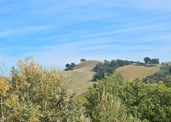 Foto 20 - Trilocale Via Cugnini - Zona Palasport, Teramo - foto 20