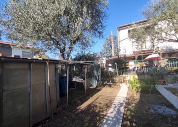 Giardino - Villa via Dante Alighieri, 1, Sedriano - foto 7