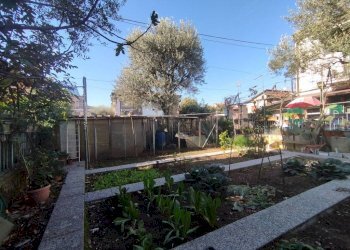 Giardino - Villa via Dante Alighieri, 1, Sedriano - foto 8