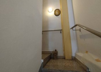 Scala - Villa via Dante Alighieri, 1, Sedriano - foto 31