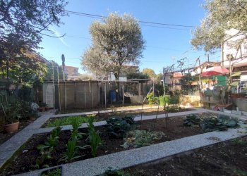 Giardino - Villa via Dante Alighieri, 1, Sedriano - foto 33