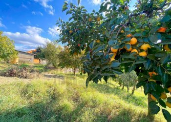 Terreno - Villa via Medrina, Borghi - foto 10