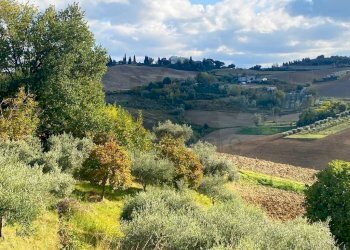 Vista - Villa via Medrina, Borghi - foto 12