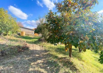 Terreno - Villa via Medrina, Borghi - foto 13