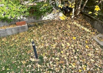 Giardino - Bilocale via Giuseppe Francesco Medail, 67, Bardonecchia - foto 19