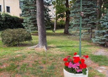 Giardino - Bilocale via Giuseppe Francesco Medail, 43, Bardonecchia - foto 5